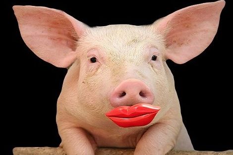 PicPigLipstick-e1498653443527